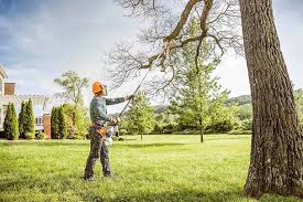 Why Choose Our Tree Removal Services in Catlettsburg, KY?